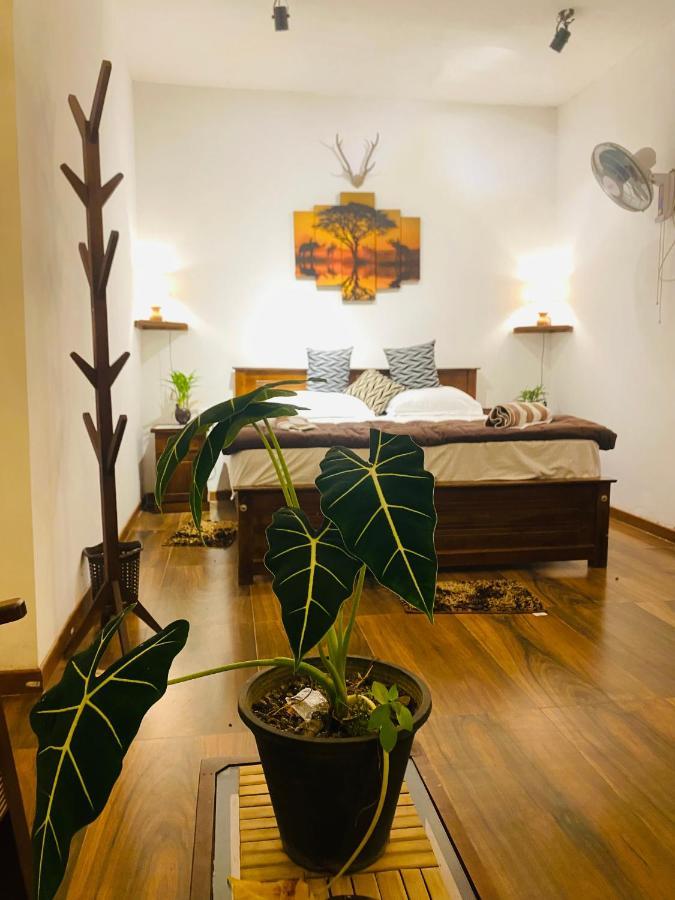 Ferienwohnung The Kingdom Of Ella Exterior foto