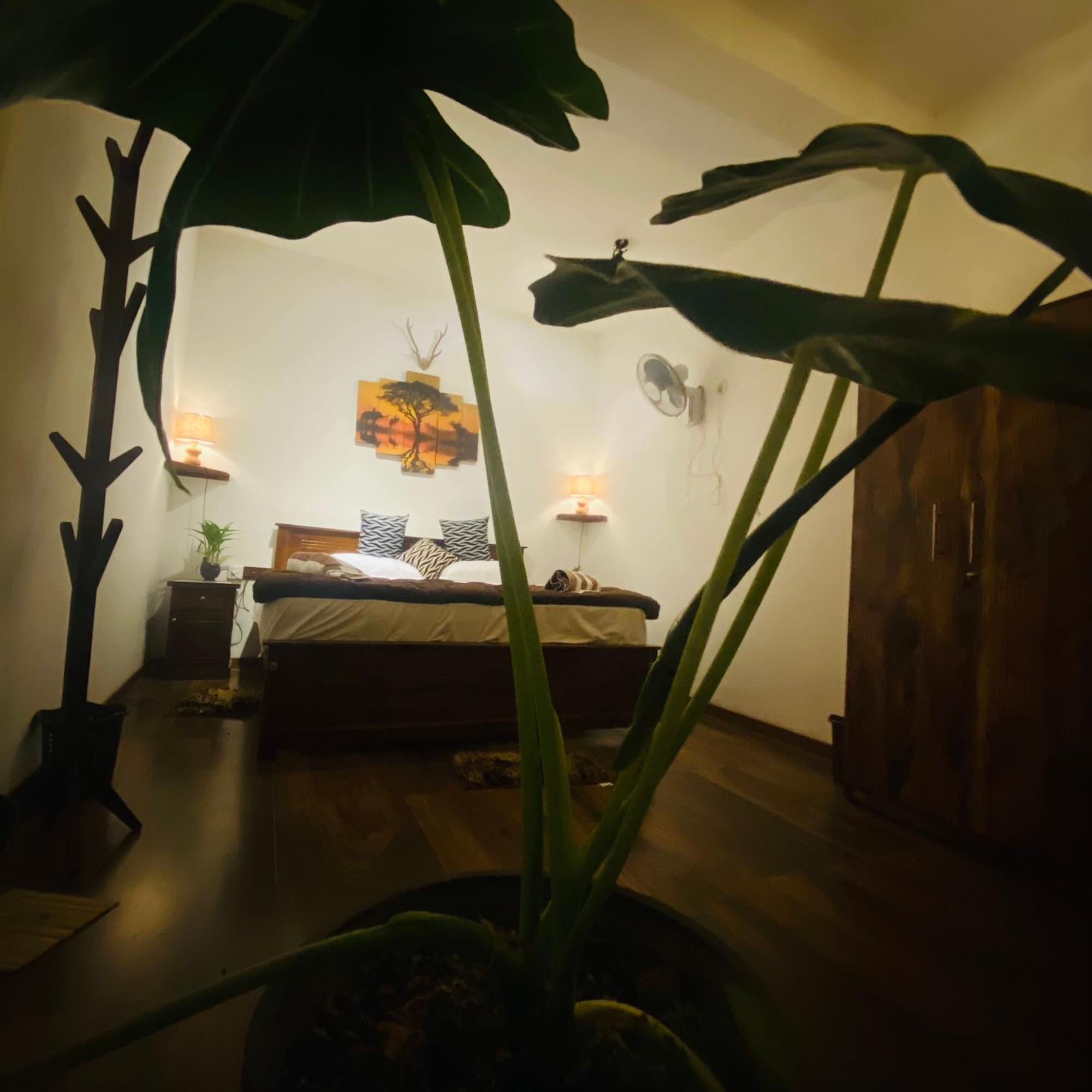 Ferienwohnung The Kingdom Of Ella Exterior foto